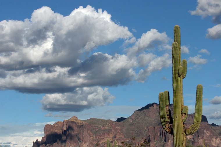Festival of the Superstitions this weekend